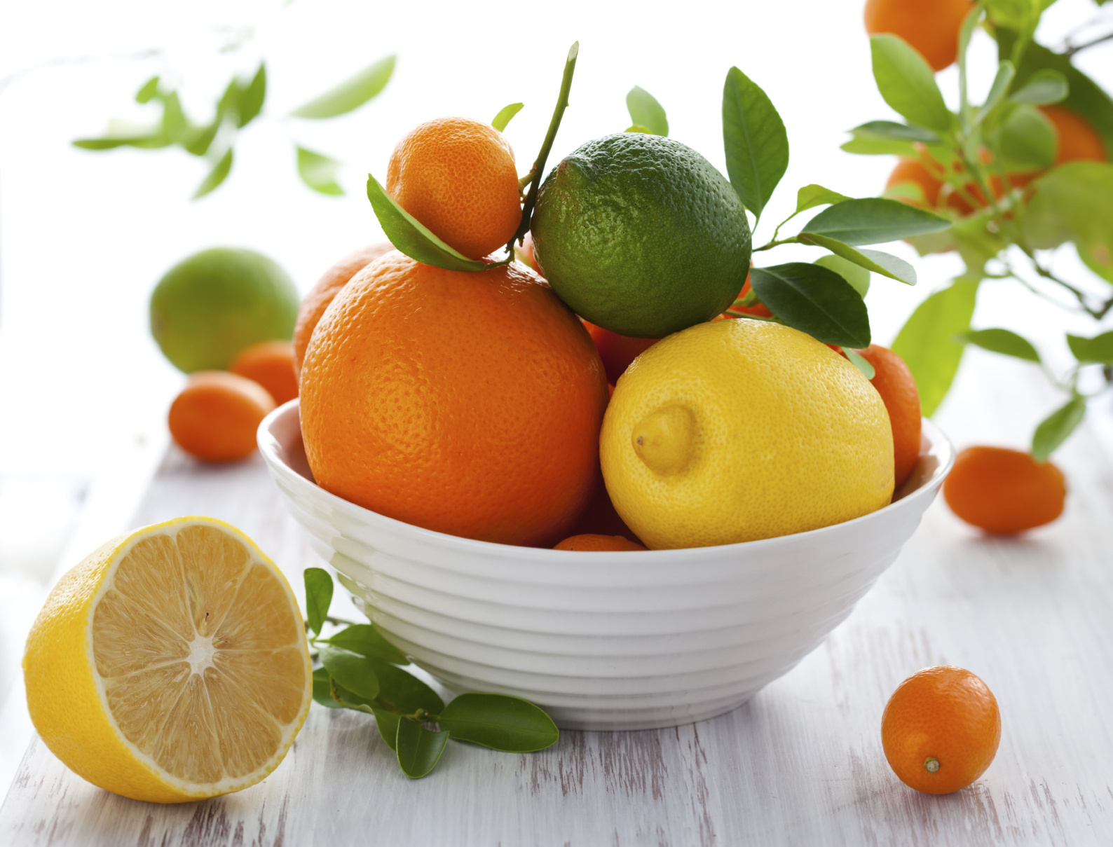 FRESH CITRUS FRUITS - Valencia/Navel Orange, Lime/Lemon, Mandarin Oranges, Tangerines