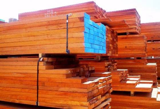 Pachyloba , Doussie wood logs , Tali, Okan Wood Logs huge  Sawn timbers Exporters