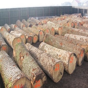 Good Quality Grade A White and Red Oak Logs