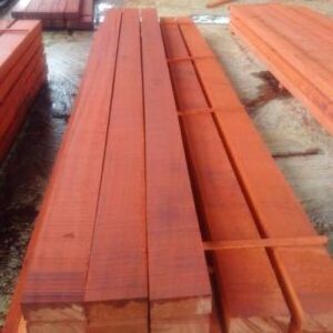 Pachyloba , Doussie wood logs , Tali, Okan Wood Logs huge  Sawn timbers Exporters