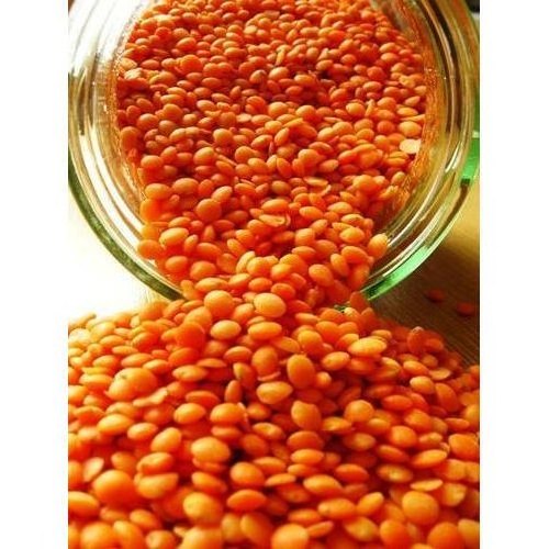 High Quality Green / Yellow / Red Split Lentils / Green Split Lentils / Lentils Beans  For Sale