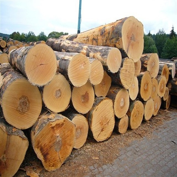 pine wood logs