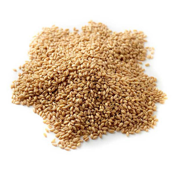 Wheat bran suppliers wheat straw wheat bran for animal feed