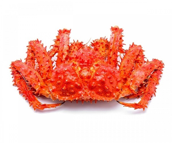 Best Quality Fresh Live Red King Crab Norwegian King Crab Alaskan King Crab/Buy Russian King Crab/Hot sales King Crab Legs