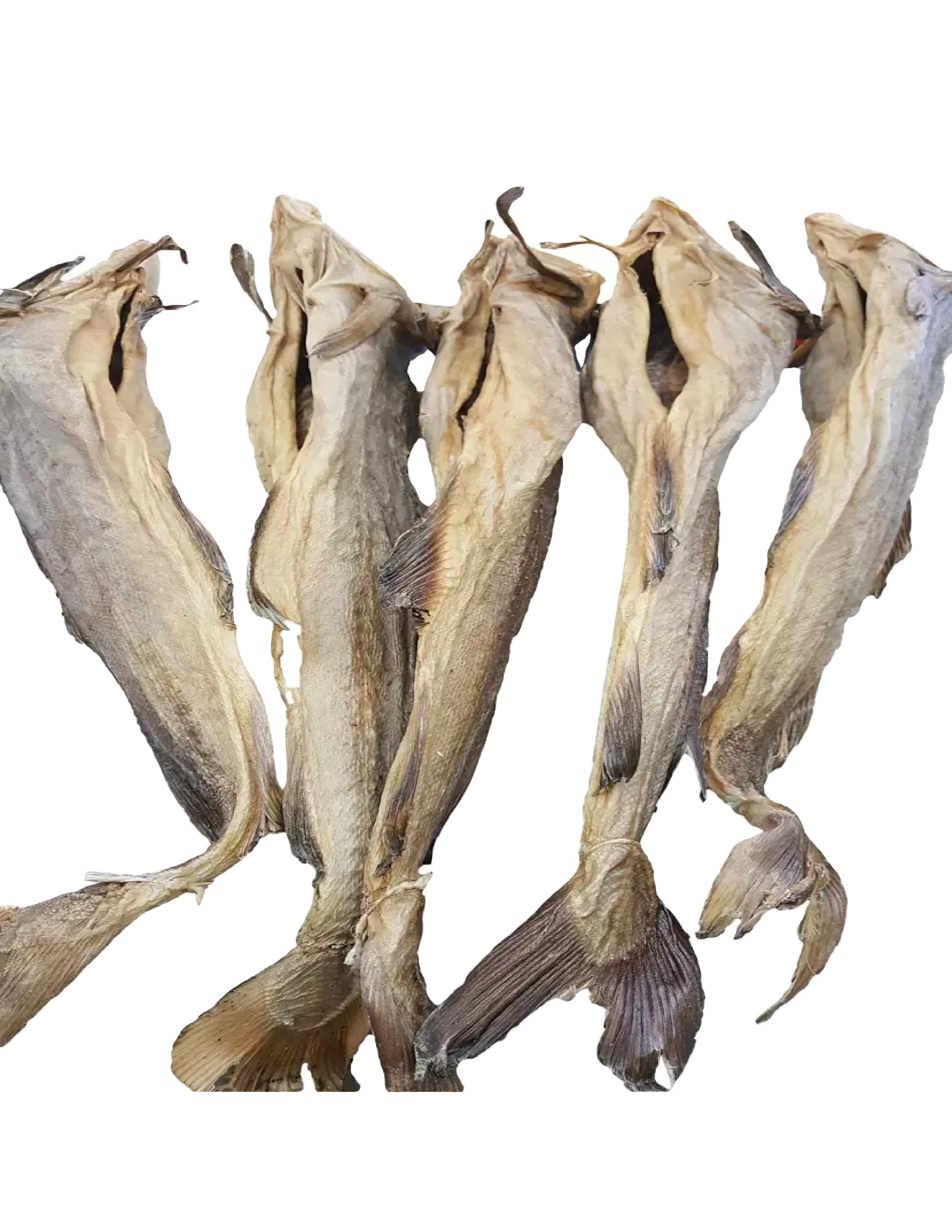 Dried Stockfish Dried Stock fish & Cod heads/Cod and Dried Stock Fish Sizes