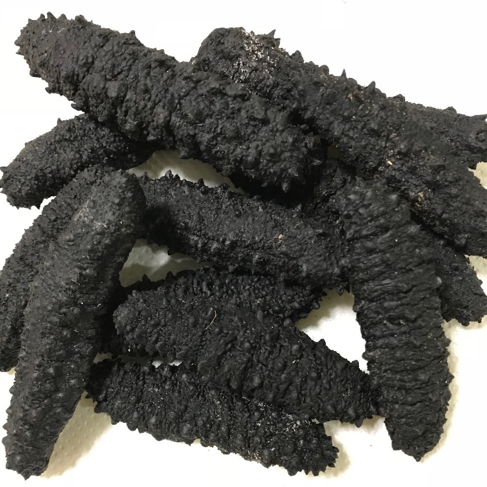 Sea Cucumber from Vietnam is good price and quality Ready for Export