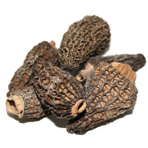 Fresh and dried Mushrooms with the Freshest and Most Nutritious Mushrooms