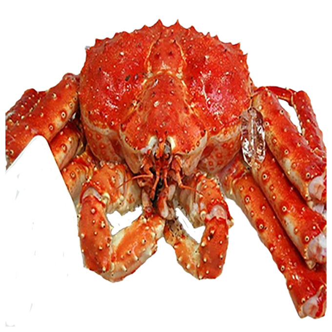 Best Quality Fresh Live Red King Crab Norwegian King Crab Alaskan King Crab/Buy Russian King Crab/Hot sales King Crab Legs