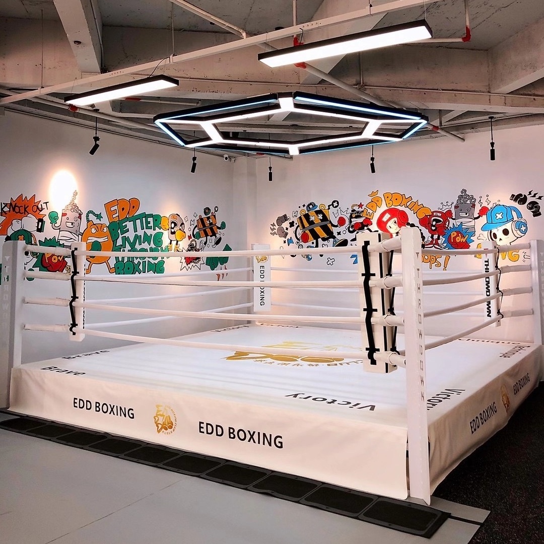 International Standard IBF Quality Used Inflatable Boxing Fighting Ring for Sales