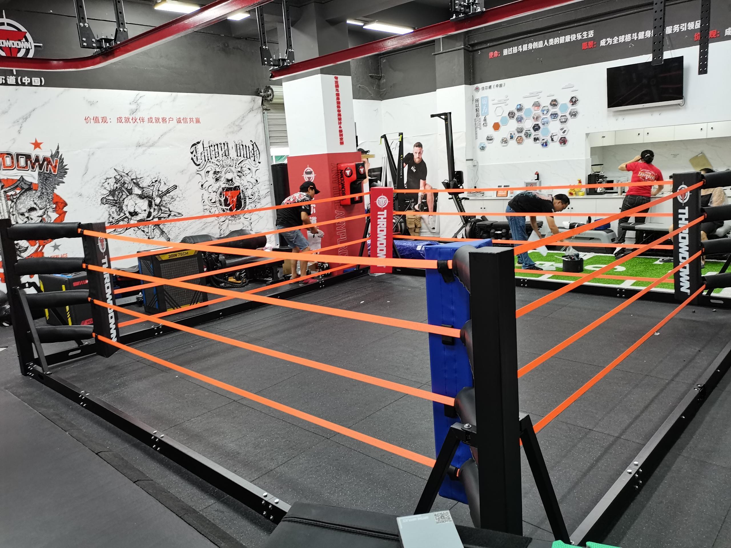 Professional Boxing Fighting Ring Collapsible Indoor / Outdoor Training Ground Elevated Portable Boxing Ring