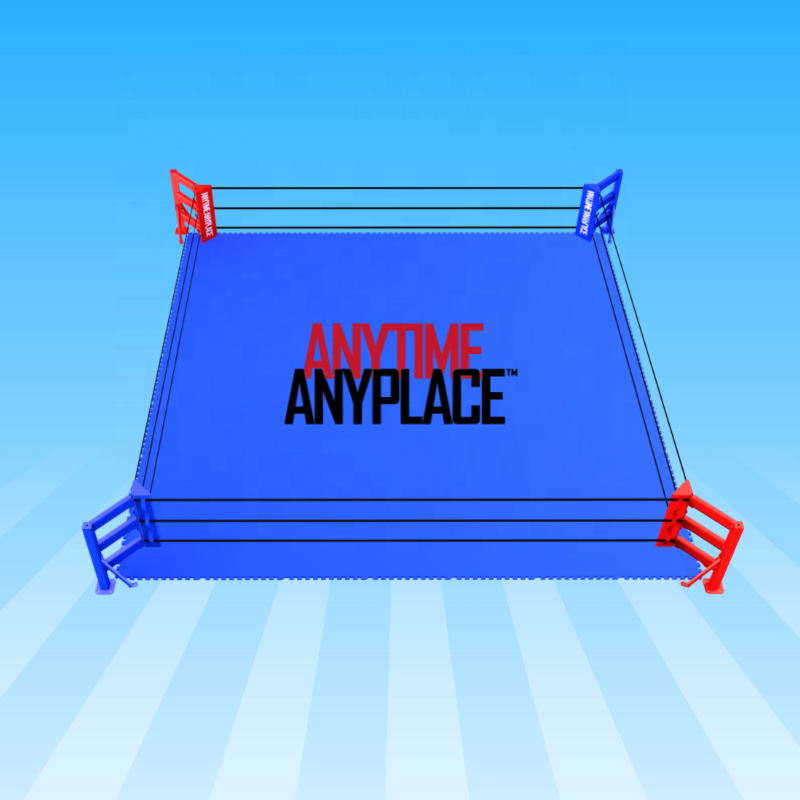 Portable Boxing Ring for Wholesale Small Boxing Ring