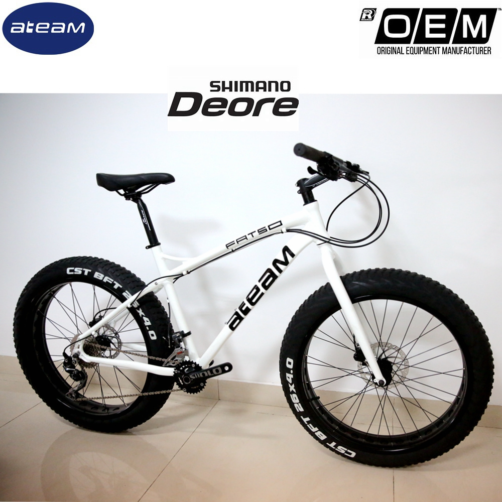 Factory Wholesale Fat Tire Bike 26 Inches Wheel Size Trade Assurance Bicycle Producers Snow Bike Mountain Bike Aluminum Men OEM