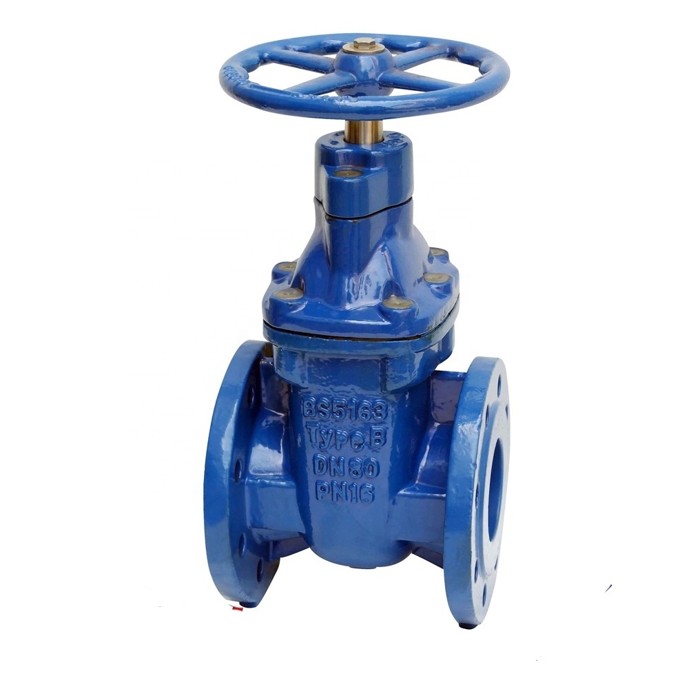 DIN 3352 F4 Ductile Iron Rising Stem RS Hard Metal Sealed Gate Valve Pn16 Pressure