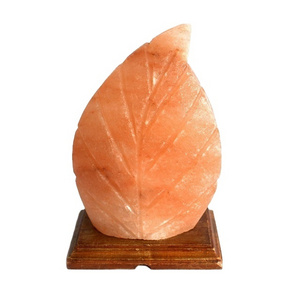 Leaf shape custom OEM/ODM Pakistan best Himalayan Natural Color Salt Lamps with Cheap price / top Selling price Himalayan oem