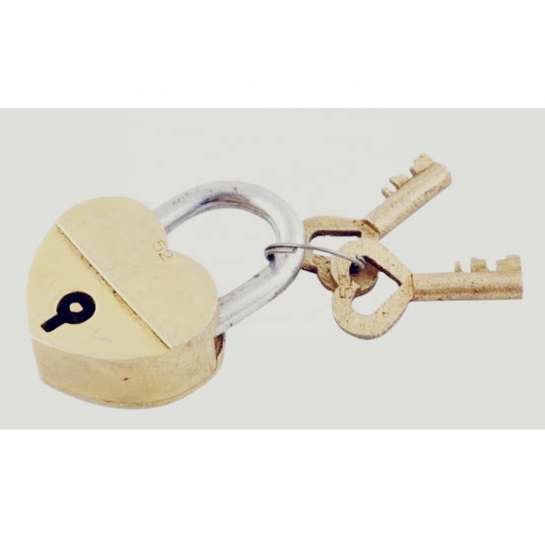 Latest Brass Vintage Lock Fish modern & attractive security locks best quality intricate lion brass key locks