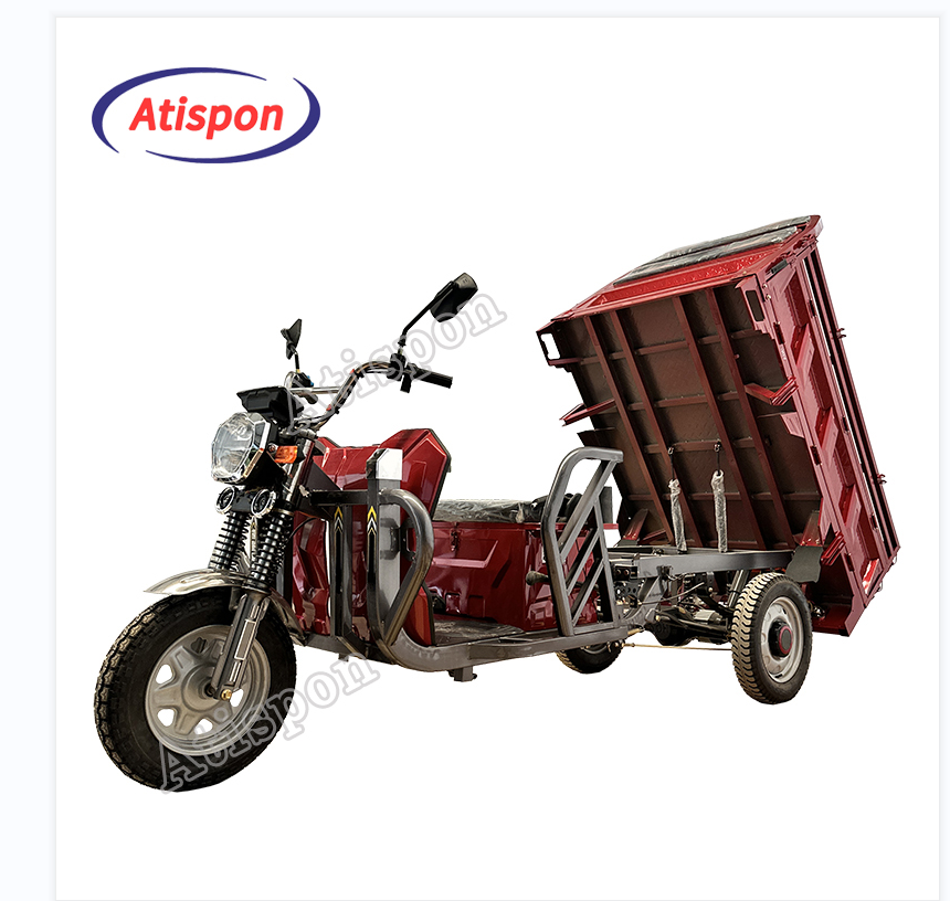 Hot Sale And Reliable Three Wheel Cargo Motorcycle And Electric Pedicab Electric Pedicab For Farming