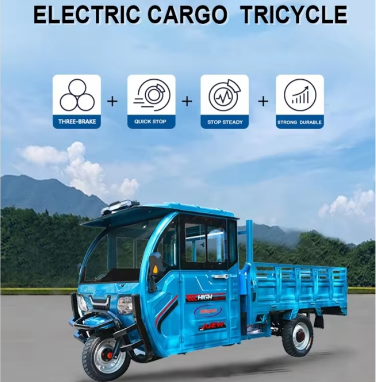 Electric Tricycle Cargo Bicycle New Fashion For Adults Motorized Trike with Mini 3 Wheel of 3 Person Car