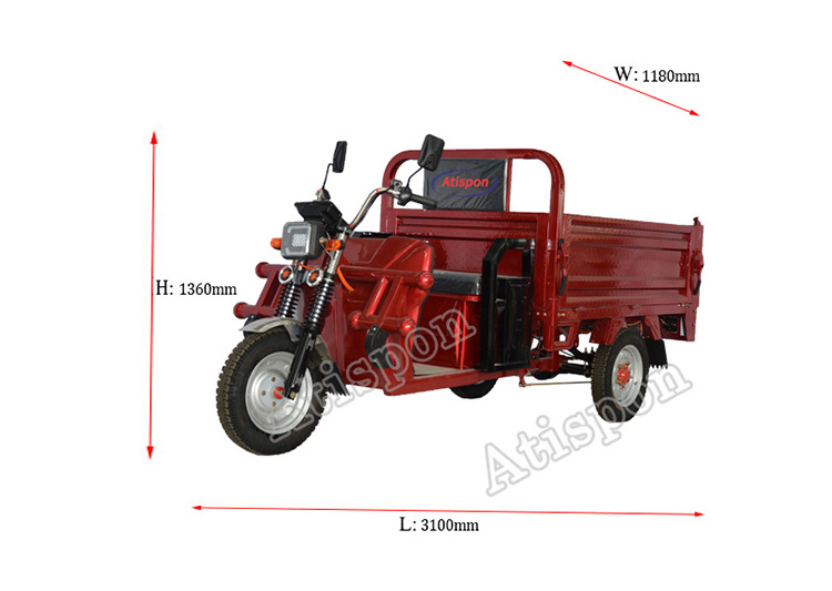 Hot Sale And Reliable Three Wheel Cargo Motorcycle And Electric Pedicab Electric Pedicab For Farming