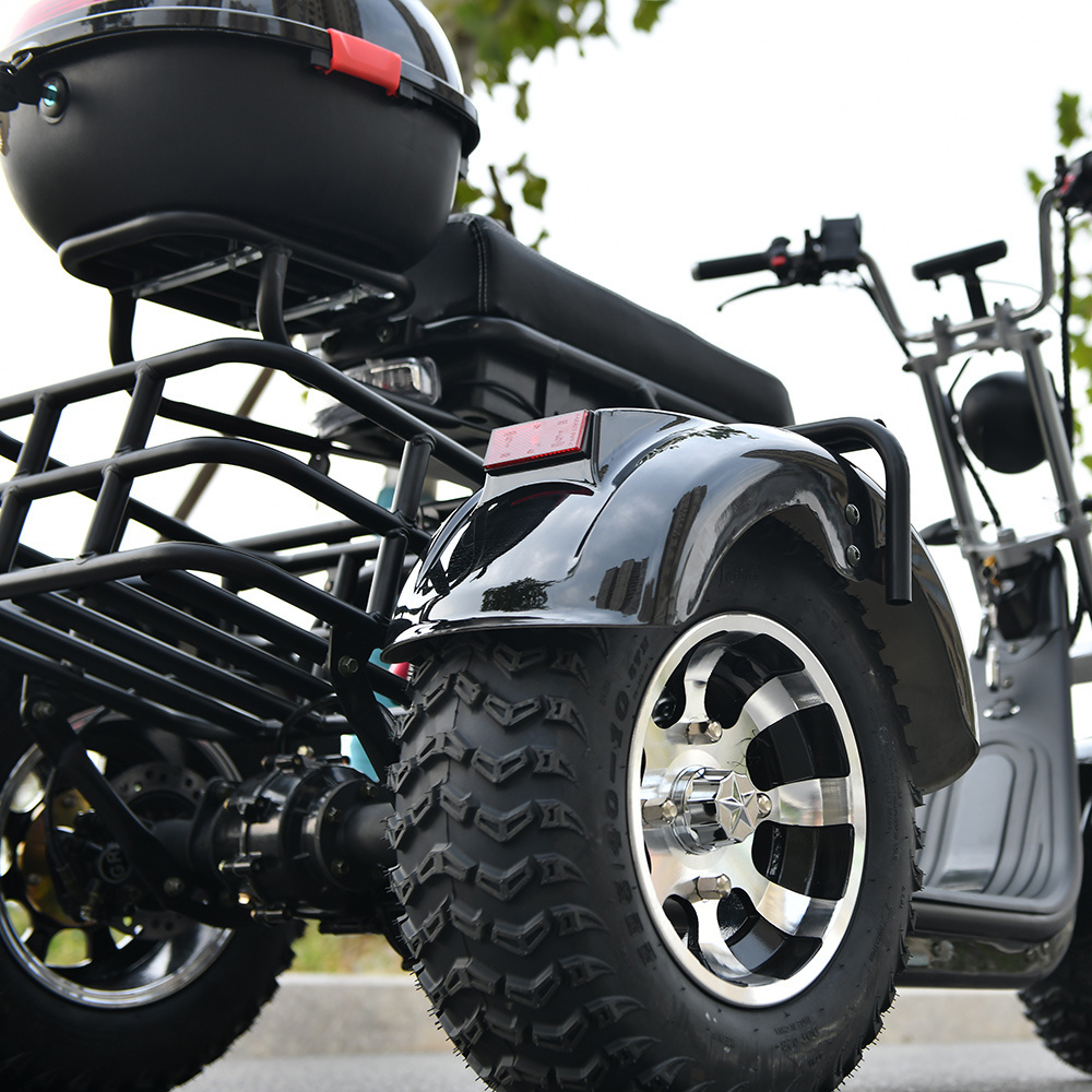 eHoodax three wheel e bike speed 40kmph off road tire electronic e tricycle trike e bike adult 3 wheel electric scooter