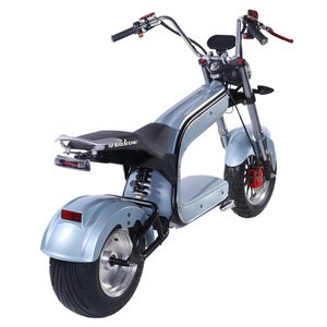 Two Wheels Big Tire Trike Adult Tricycle Citycoco 2 Wheel Electric Scooter 2000W/2500W Fat Bike Tire