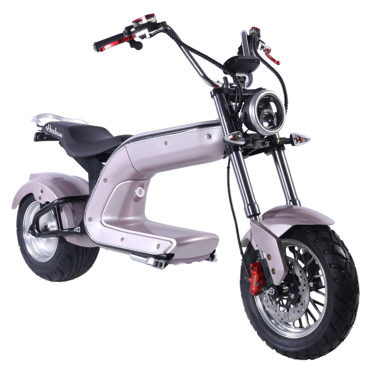 Two Wheels Big Tire Trike Adult Tricycle Citycoco 2 Wheel Electric Scooter 2000W/2500W Fat Bike Tire