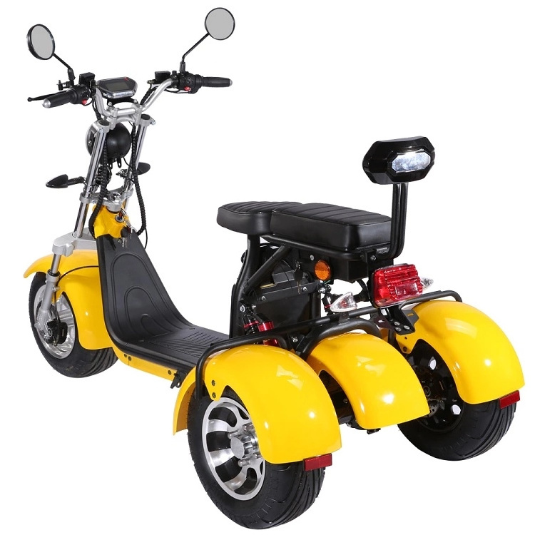 Fat Tire 2000W Electric Scooter Powerful Three wheel Citycoco COC with Removable Batteries