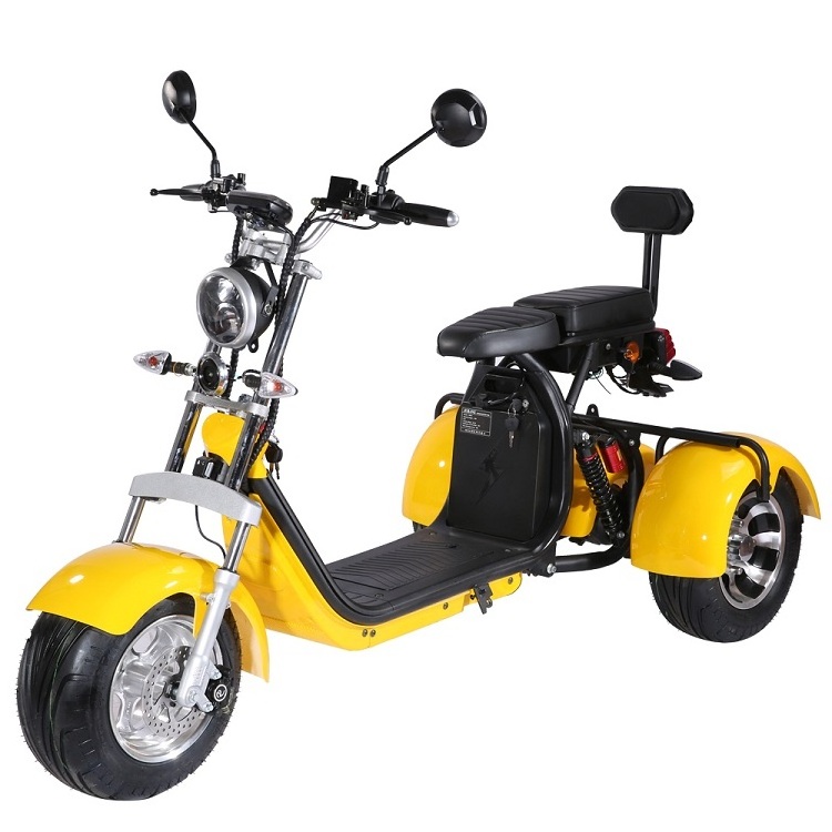 Fat Tire 2000W Electric Scooter Powerful Three wheel Citycoco COC with Removable Batteries