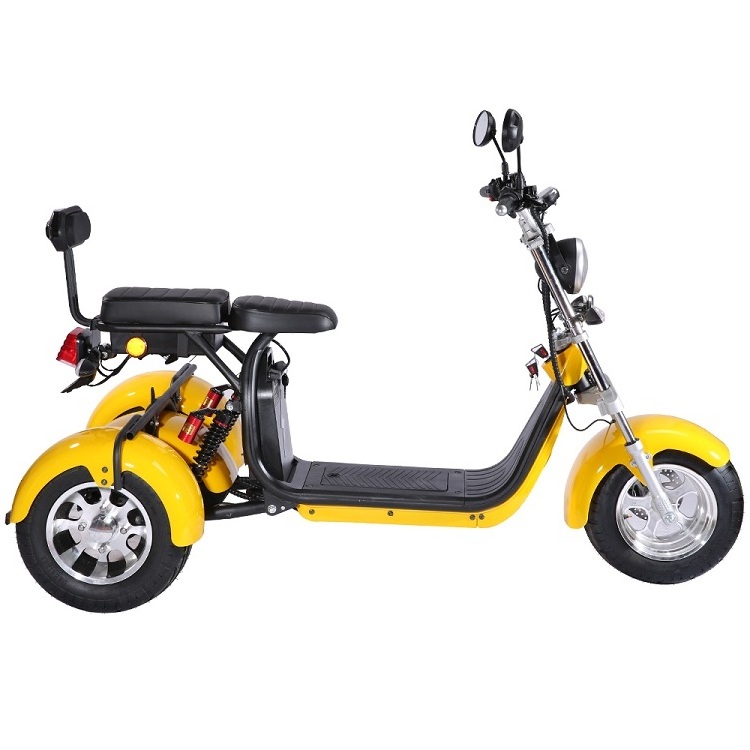 Fat Tire 2000W Electric Scooter Powerful Three wheel Citycoco COC with Removable Batteries