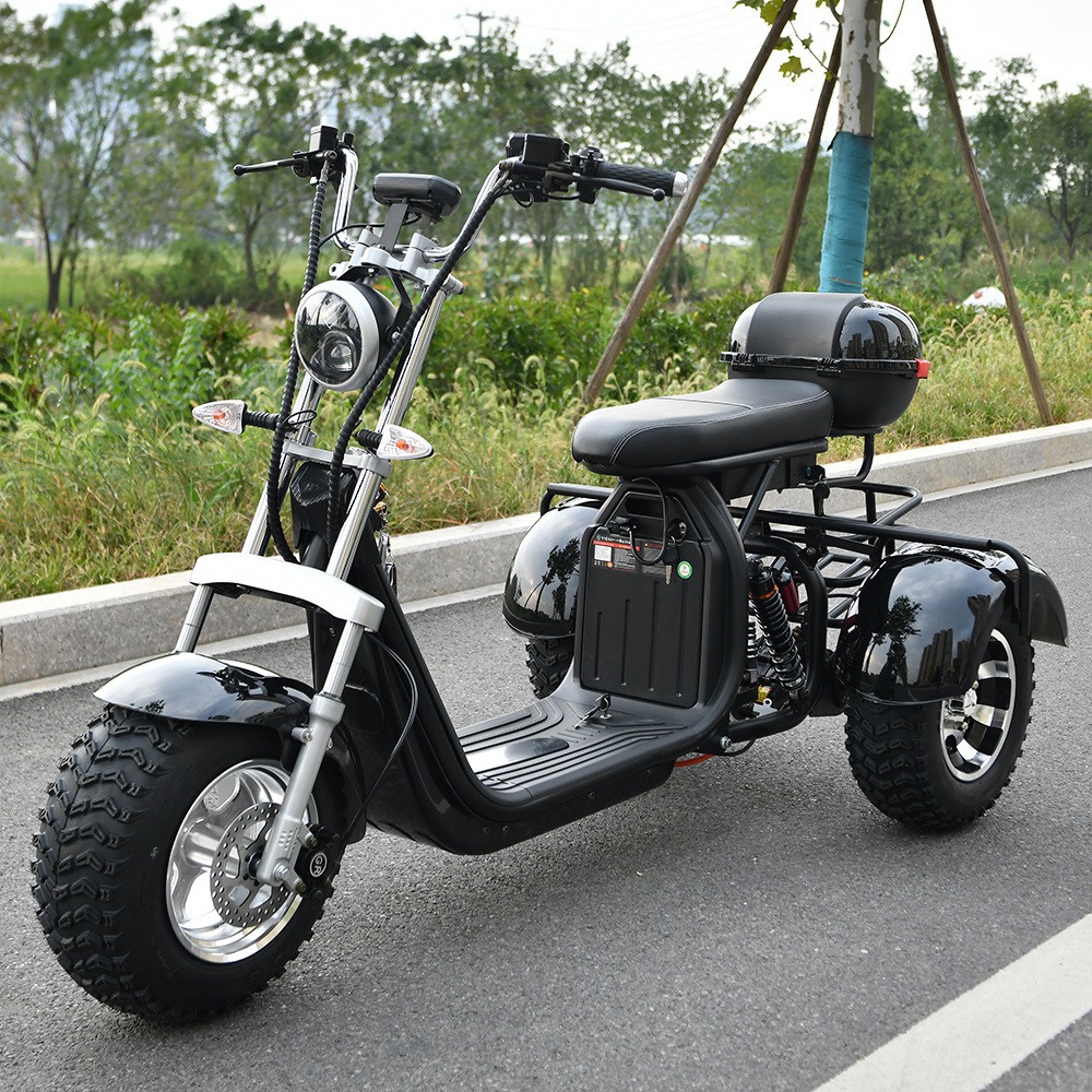 eHoodax three wheel e bike speed 40kmph off road tire electronic e tricycle trike e bike adult 3 wheel electric scooter