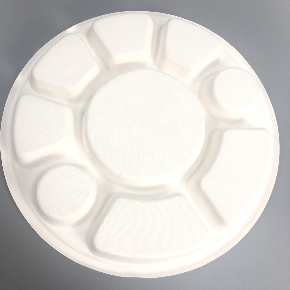 Biodegradable Food Trays Bagasse Compartment Food Tray Plate for  Lunch 9 Compartment Tray