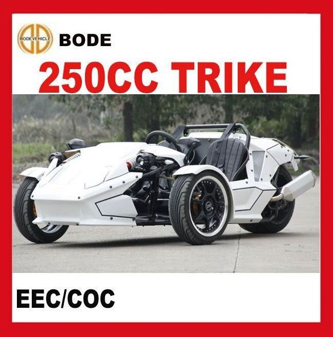 EEC STREET LEGAL ATV 250CC(MC-369)