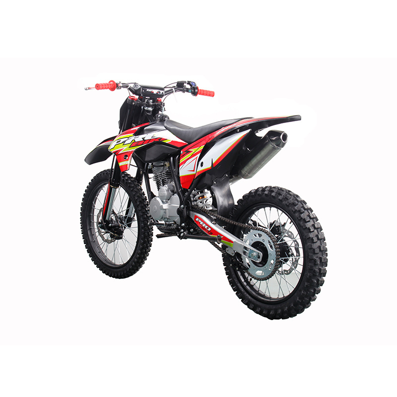 2024 gas power 250cc automatic 4 stroke CE dirt bike motorcycle adult moto pit bike