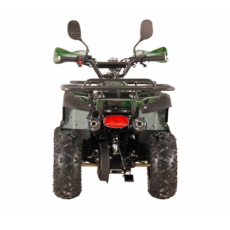 ATV 2WD 110CC adult Gas Powered Atv Quad bike For Adults(SL110G)