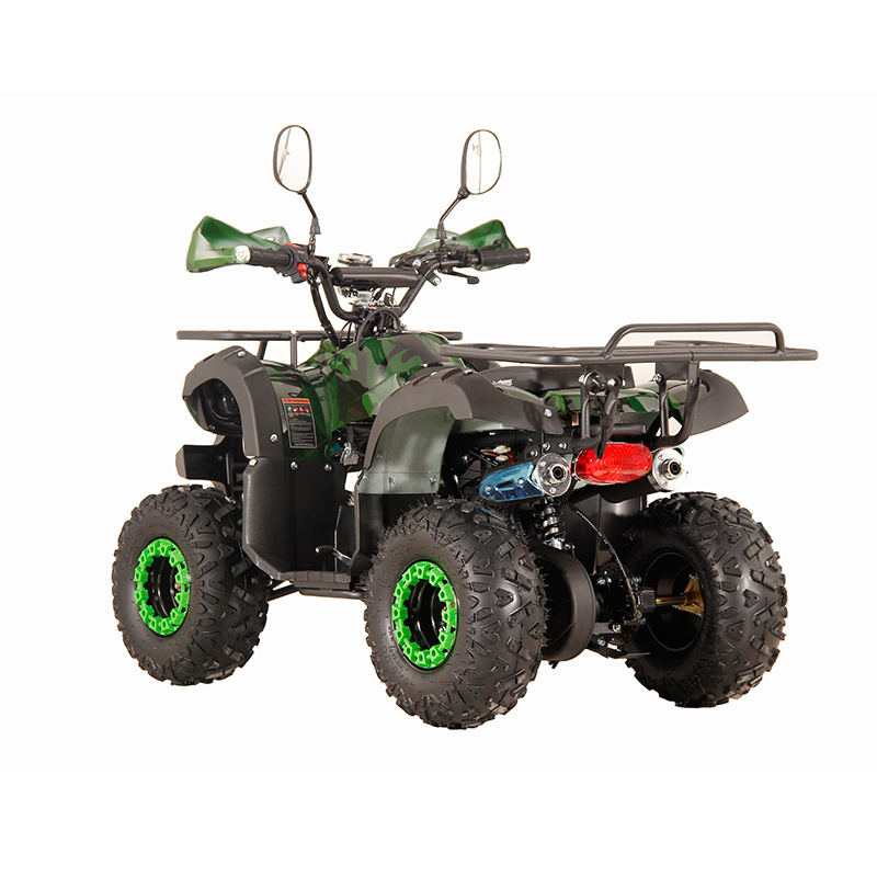 ATV 2WD 110CC adult Gas Powered Atv Quad bike For Adults(SL110G)