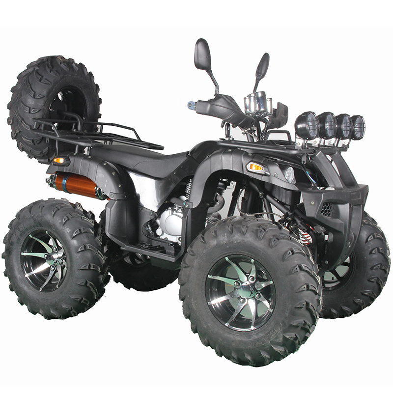 New Four-wheel racing atvs Off-road 250cc Atv 12inch Tires Motorcycles ATV QUAD UTV farm quad moto bike(FM250)