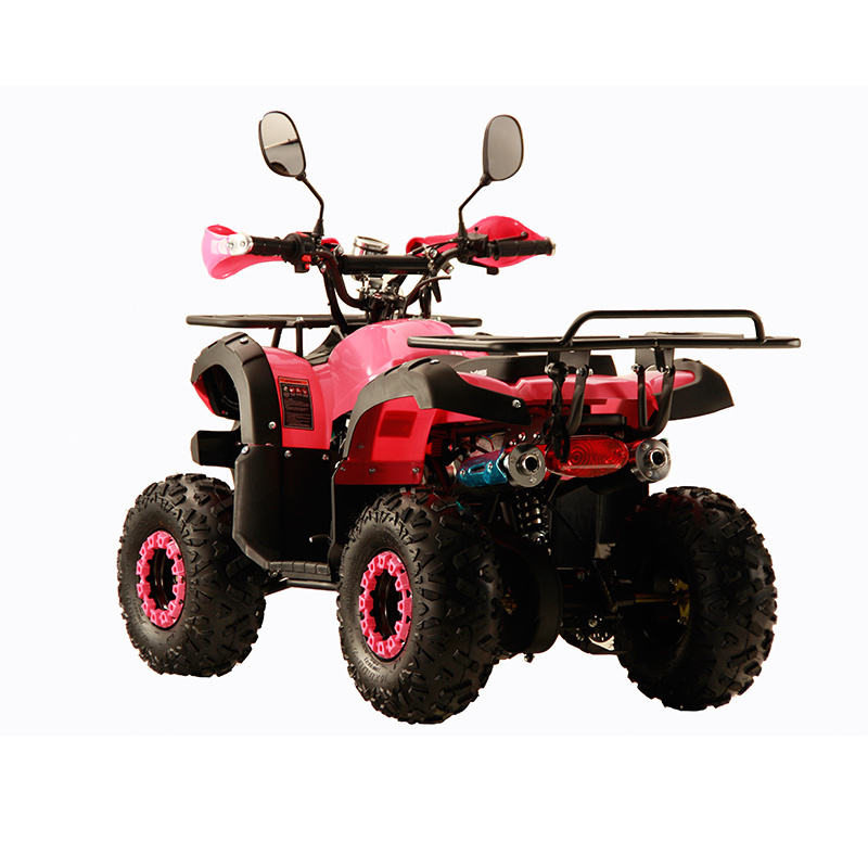 ATVIMX Pink Quads bike for adult Motor Chain Drive ATV 110cc 125cc with CE Certificate