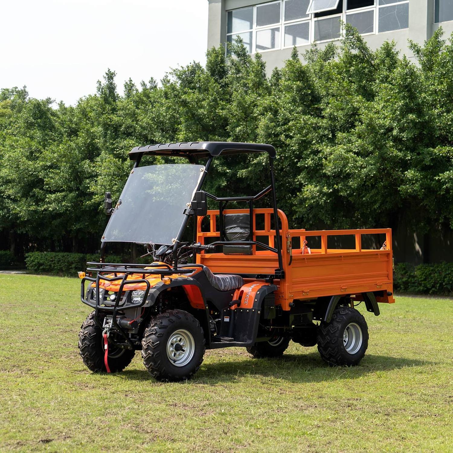 250cc 4*4 Automatic Amphibious Atv Off Road All Terrain Vehicle For Adults