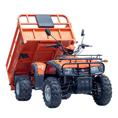 AEROBS gasoline 250cc/300cc 4X4 farm atv dune buggy