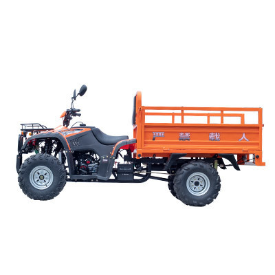 Manufacture Adult Atv 250cc Gasoline/petrol Quad Bike 4 Wheeler