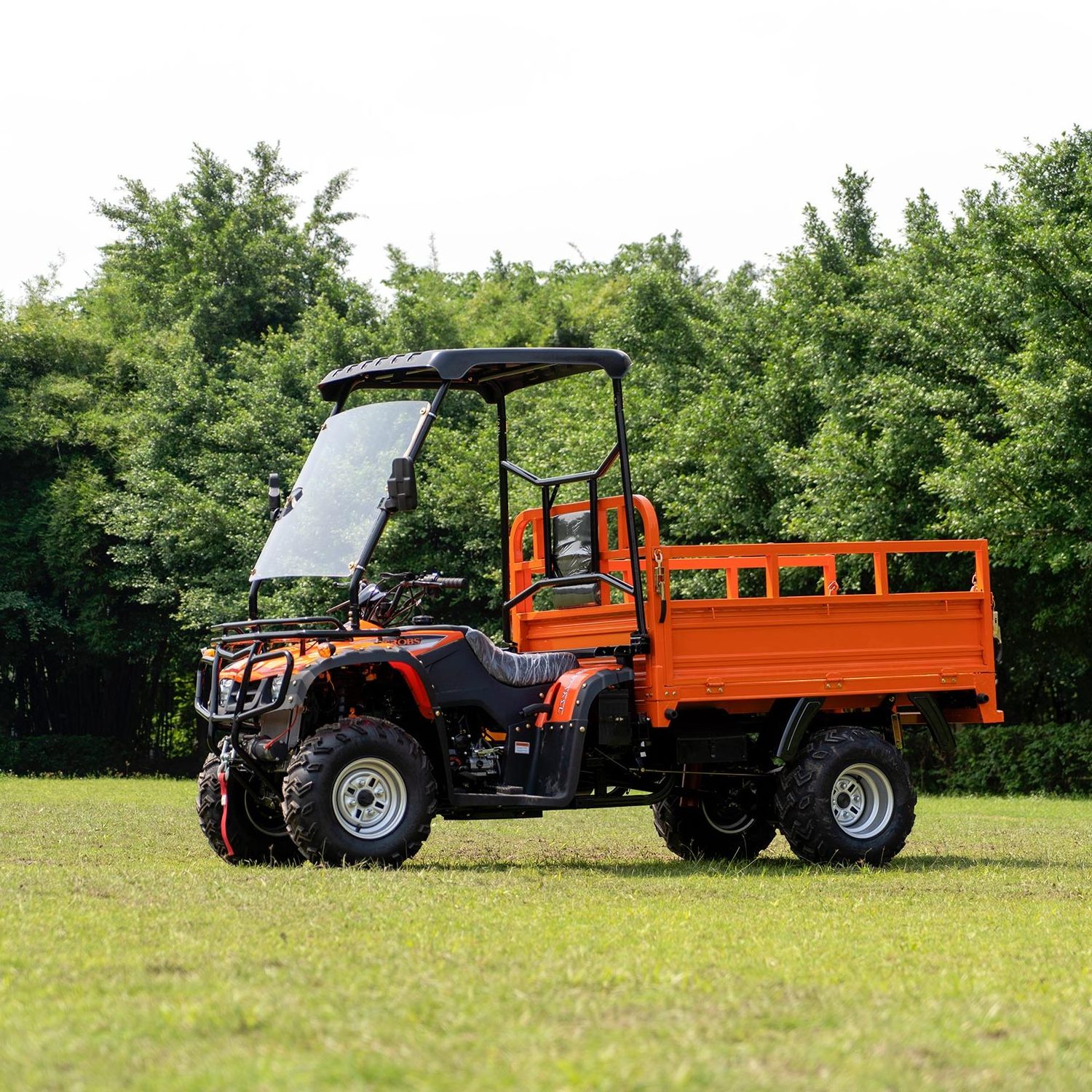 250cc 4*4 Automatic Amphibious Atv Off Road All Terrain Vehicle For Adults