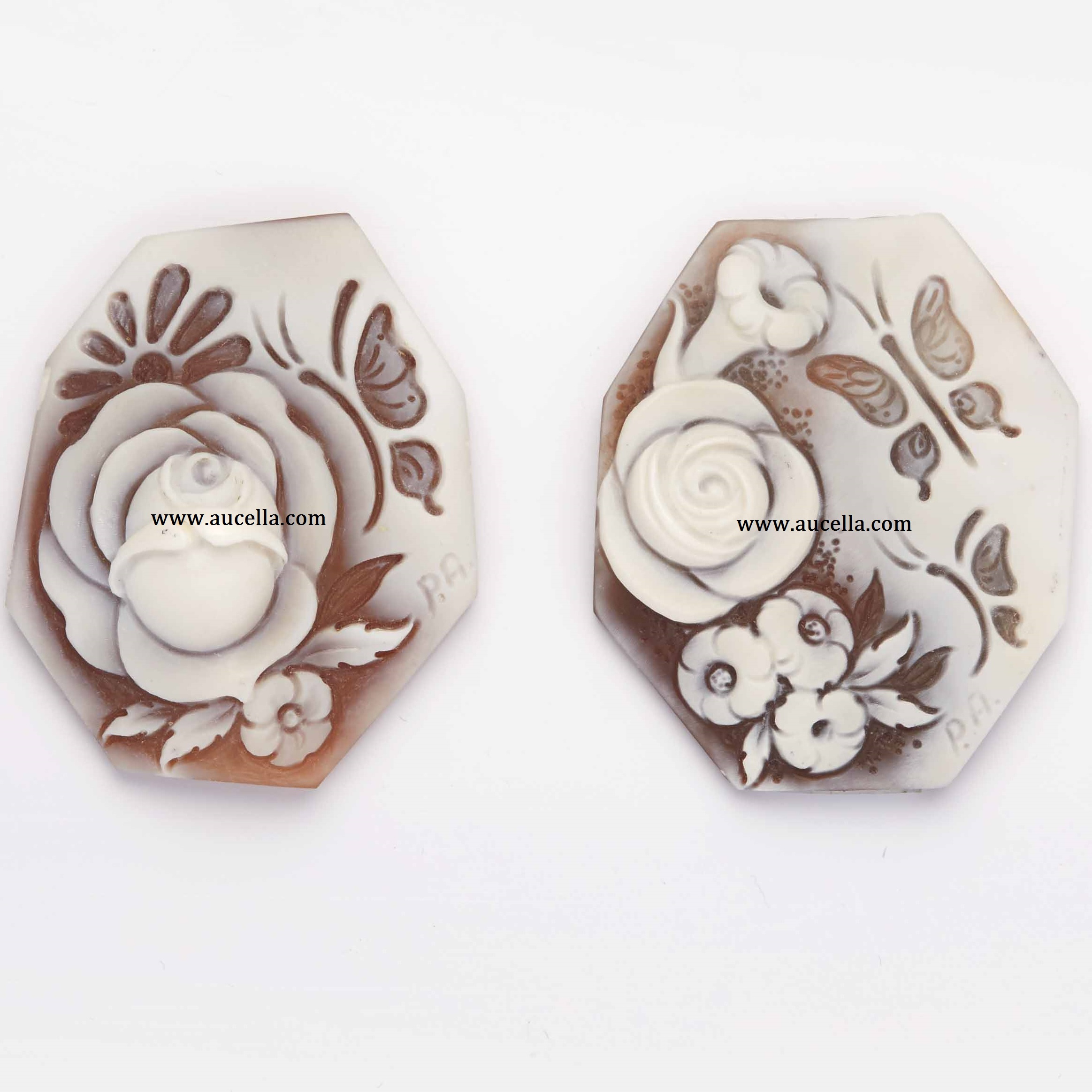 Irregular Shape Natural Sardonyx Seashell Cameos Factory Price Different Sizes