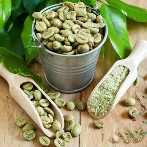 Vietnam high quality ROBUSTA Green COFFEE BEAN - Robusta Coffee Bean Processing Exporting Quality COFFEE BEAN