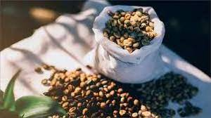 Vietnam high quality ROBUSTA Green COFFEE BEAN - Robusta Coffee Bean Processing Exporting Quality ROBUSTA COFFEE BEAN