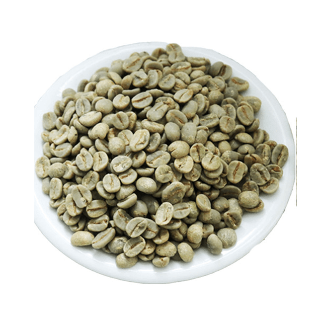 Vietnam high quality ROBUSTA Green COFFEE BEAN - Robusta Coffee Bean Processing Exporting Quality ROBUSTA COFFEE BEAN