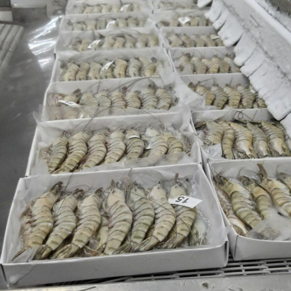 High Quality Frozen Shrimp  Frozen Raw Black Tiger Prawn Wholesale Seafood From Vietnam Frozen Shrimp