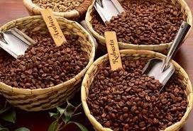 Vietnam high quality ROBUSTA Green COFFEE BEAN - Robusta Coffee Bean Processing Exporting Quality ROBUSTA COFFEE BEAN