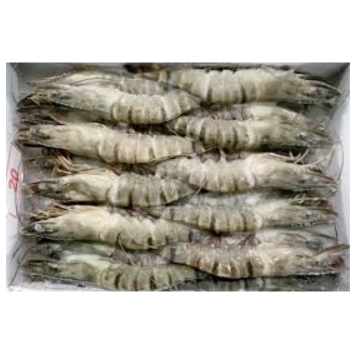 High Quality Frozen Shrimp  Frozen Raw Black Tiger Prawn Wholesale Seafood From Vietnam Frozen Shrimp