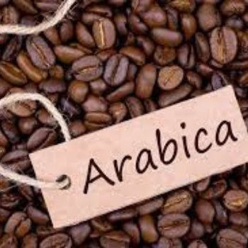 High quality Arabica COFFEE BEAN - Arabica Coffee Bean Processing Exporting Quality coffee bean arabica