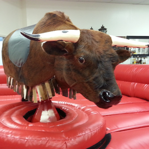 New hot sale inflatable mechanical bull Mechanical bull for sale