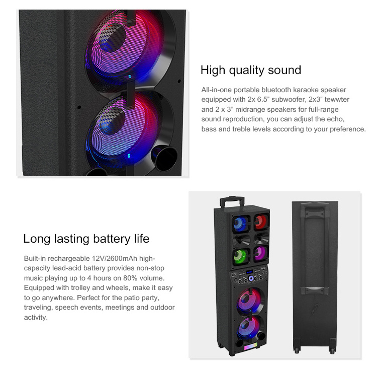 Huge Sound Audmic Party Speaker BL AUX In Micro USB SD FM Radio Power Portable Karaoke Speakers